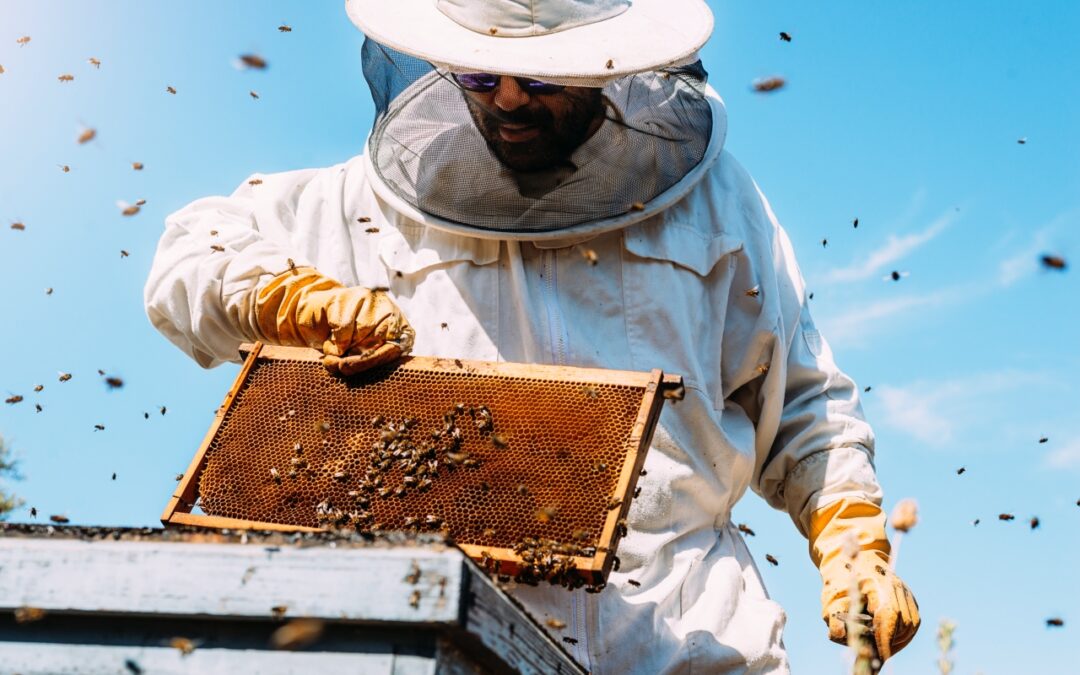 Honey Farms in Southern Ontario